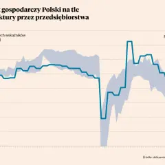 Wykres pokazuje PKB Polski (proc. r/r) i wskaźniki koniunktury. Widać wyraźny wzrost gospodarczy, mimo zmiennej koniunktury.