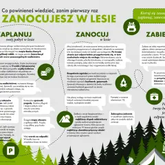 Ilustracja przedstawia drzewa, namiot i ikonki związane z biwakowaniem w lesie.