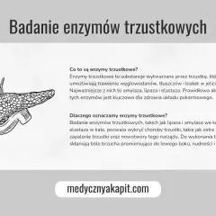 Ilustracja trzustki. Badanie enzymów trzustkowych, w tym lipazy, jest kluczowe dla zdrowia układu pokarmowego.