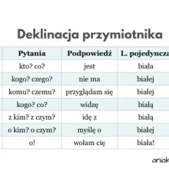 Tabela pokazuje, na co odpowiada przymiotnik w różnych przypadkach języka polskiego, np. "biała" w mianowniku.