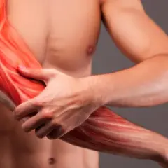 Widok mięśni ramienia, w tym wyraźnie zaznaczonego bicepsa, z widocznymi włóknami mięśniowymi.