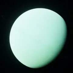 Uran planeta z cienkimi pierścieniami na czarnym tle.