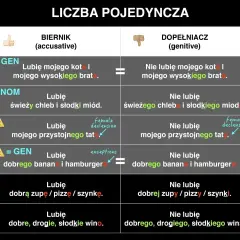 Tabela porównuje przypadki biernik i dopełniacz w liczbie pojedynczej, pokazując użycie przyimków i odmianę rzeczowników.