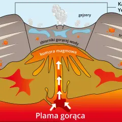 Schematyczny przekrój przez kalderę Yellowstone. Widać plamę gorącą, komorę magmową, zbiorniki gorącej wody, gejzery, trzęsienia ziemi i wulkaniczne erupcje.