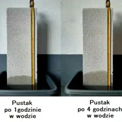 Zjawisko włoskowatości: jak działa kapilarność i jej zastosowanie w naturze