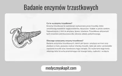 Ilustracja trzustki. Badanie enzymów trzustkowych, w tym lipazy, jest kluczowe dla zdrowia układu pokarmowego.