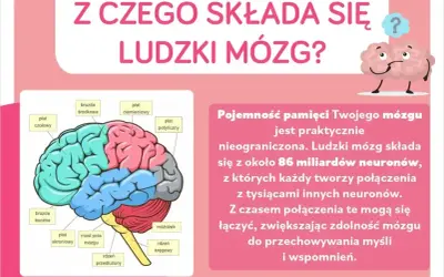Ilustracja mózgu z zaznaczonymi płatami. Tekst informuje, że mózg składa się z 86 miliardów neuronów, które tworzą połączenia.