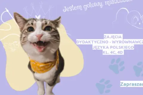 Zajęcia dydaktyczno wyrównawcze z języka polskiego klasa 4 - jak pomóc uczniom?