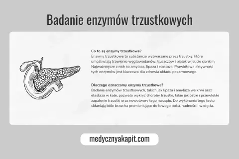 Ilustracja trzustki. Badanie enzymów trzustkowych, w tym lipazy, jest kluczowe dla zdrowia układu pokarmowego.