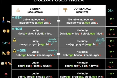 Tabela porównuje przypadki biernik i dopełniacz w liczbie pojedynczej, pokazując użycie przyimków i odmianę rzeczowników.