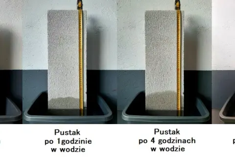 Zjawisko włoskowatości: jak działa kapilarność i jej zastosowanie w naturze