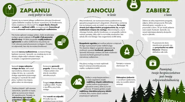 Ilustracja przedstawia drzewa, namiot i ikonki związane z biwakowaniem w lesie.