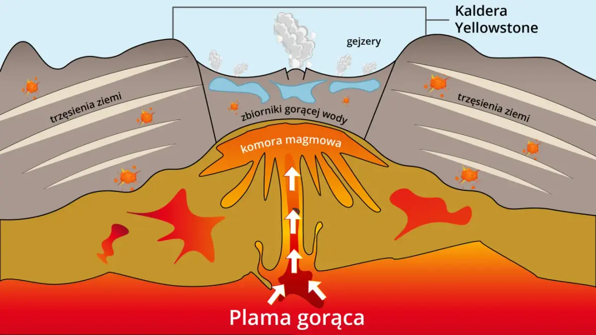 Schematyczny przekrój przez kalderę Yellowstone. Widać plamę gorącą, komorę magmową, zbiorniki gorącej wody, gejzery, trzęsienia ziemi i wulkaniczne erupcje.