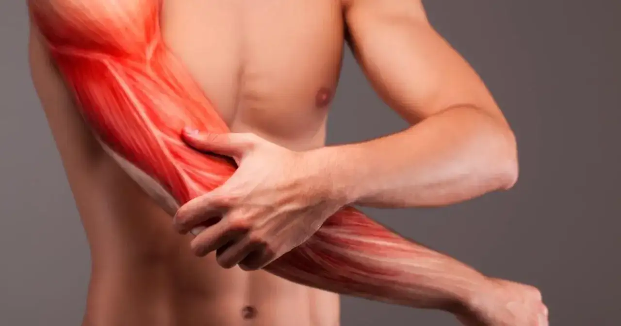 Biceps - Prawda o mięśniu dwugłowym ramienia i jego funkcji