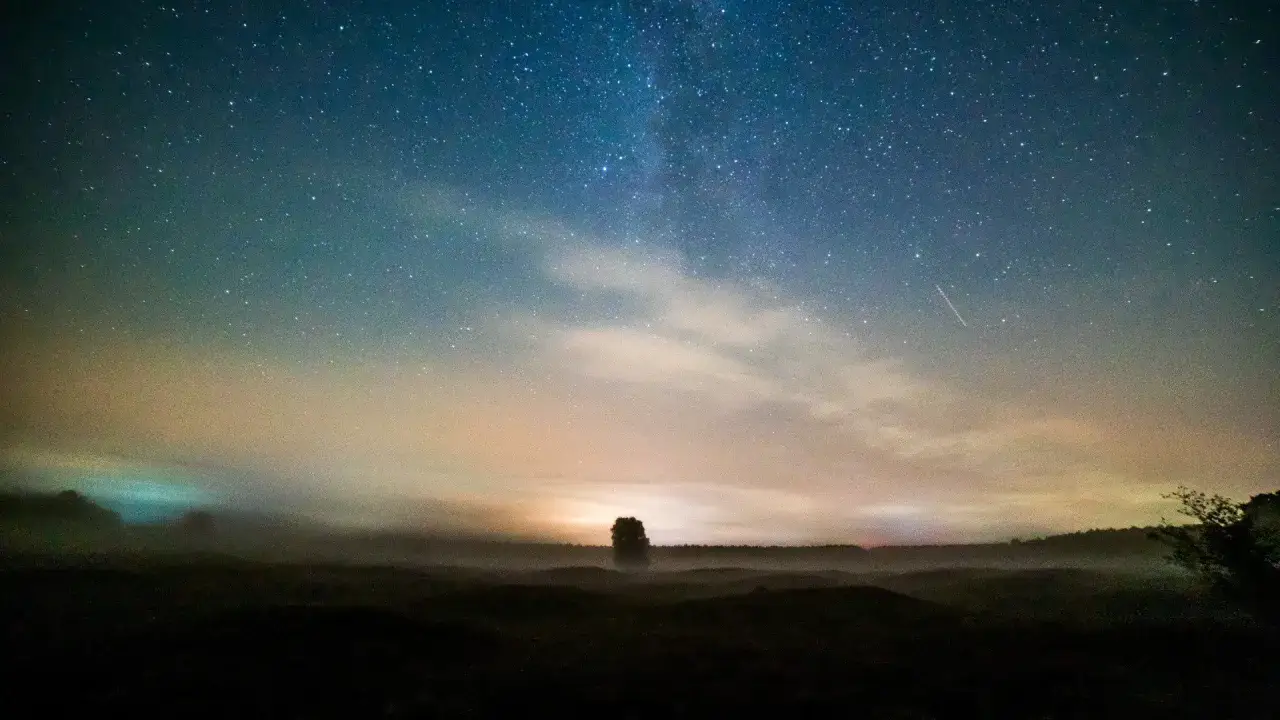 Nocne niebo pełne gwiazd, mgła nad polami i samotne drzewo. W oddali widać smugę światła – to spadająca gwiazda.