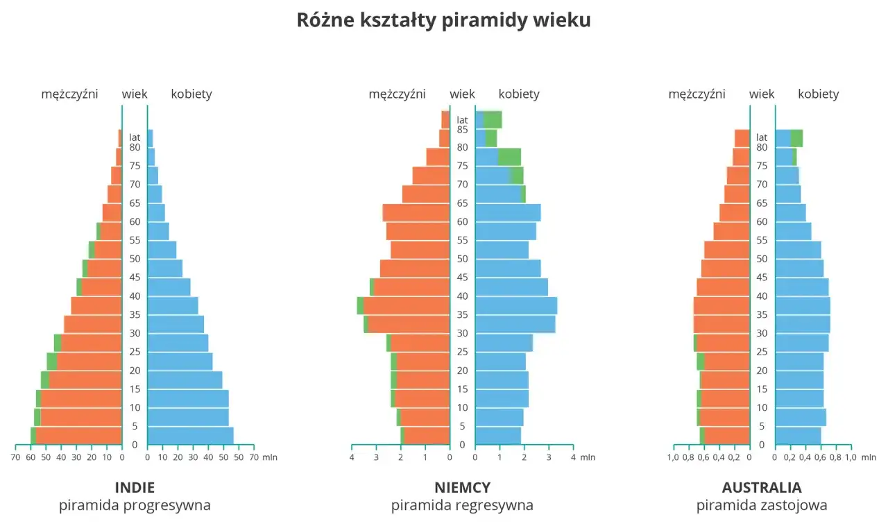Piramidy wieku dla Indii (progresywna), Niemiec (regresywna) i Australii (zastojowa) pokazują różnice w strukturze ludności. Polska liczba ludności ma swoją specyfikę.