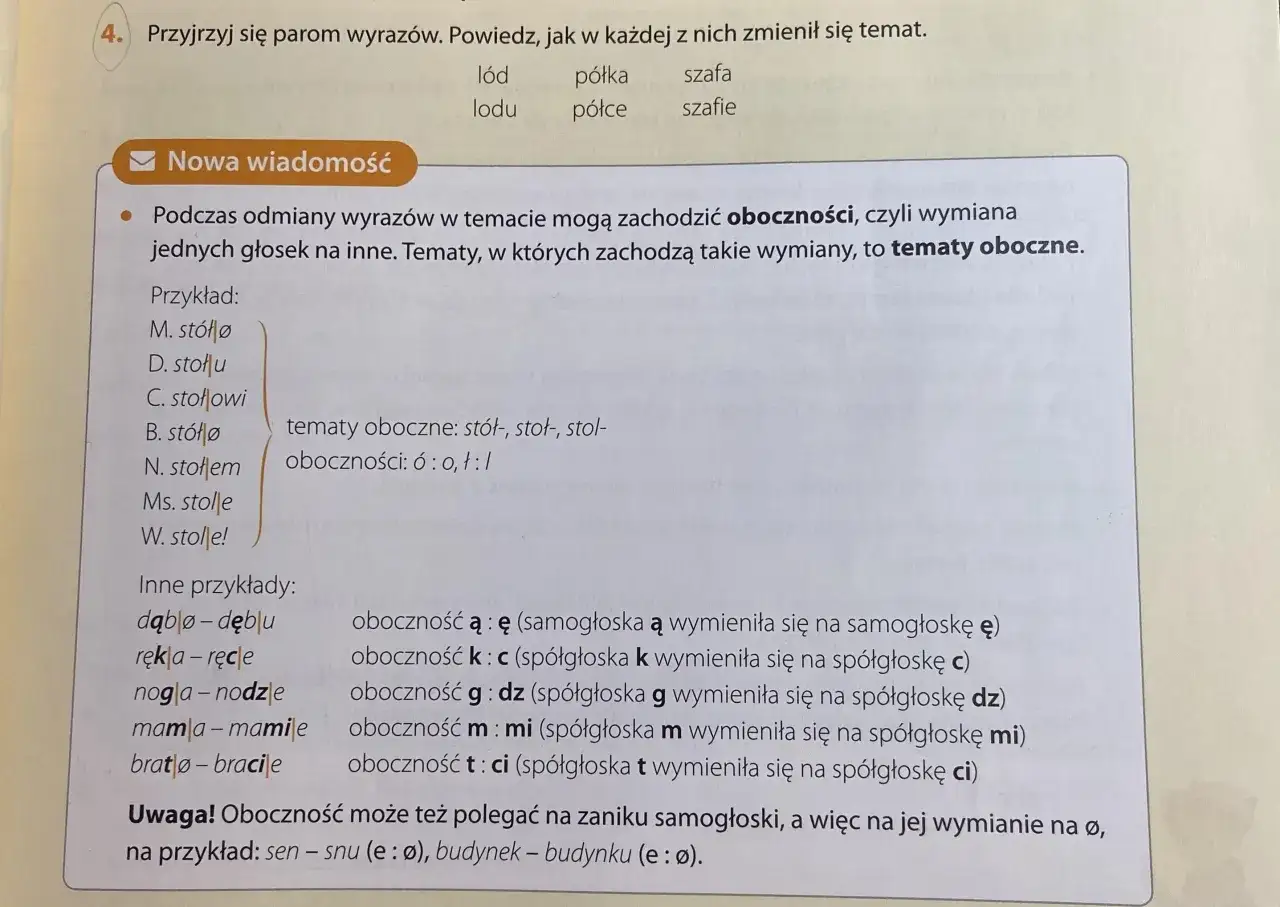 Tekst omawia oboczności w języku polskim, czyli wymianę głosek w tematach wyrazów, tworząc neologizm w odmianie.