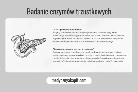 Lipaza - jak trawi tłuszcze i co oznacza wynik badania?